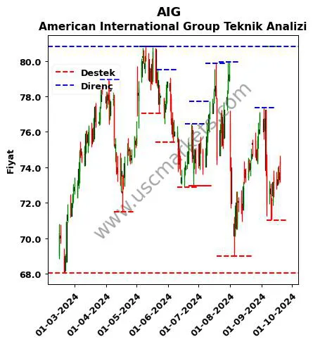 AIG fiyat-yorum-grafik