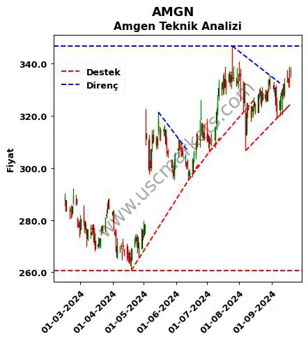 AMGN destek direnç Amgen teknik analiz grafik AMGN fiyatı