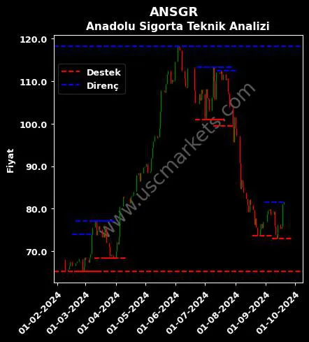 ANSGR fiyat-yorum-grafik