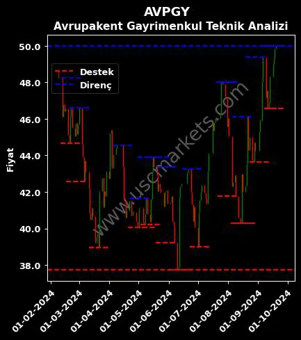 AVPGY fiyat-yorum-grafik