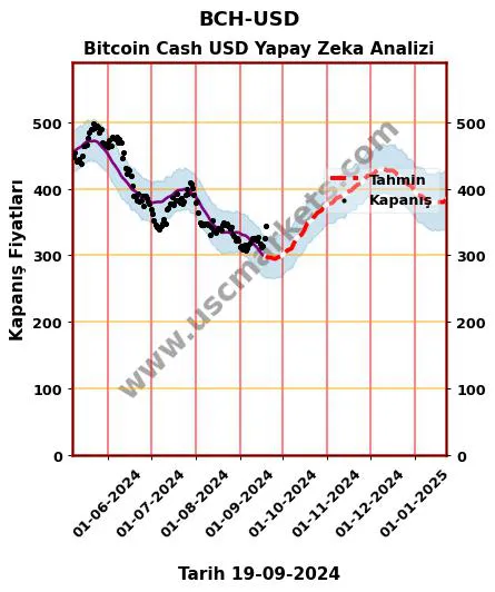 BCH-USD hisse hedef fiyat 2024 Bitcoin Cash USD grafik