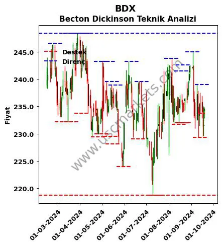 BDX fiyat-yorum-grafik