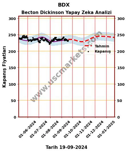 BDX hisse hedef fiyat 2024 Becton Dickinson grafik