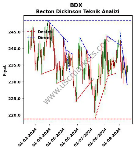 BDX destek direnç Becton Dickinson teknik analiz grafik BDX fiyatı