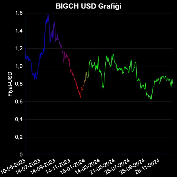 BIGCH Dolar Grafiği