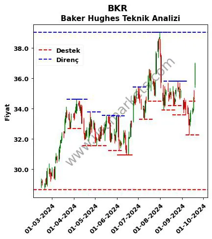 BKR fiyat-yorum-grafik