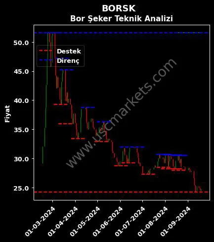 BORSK fiyat-yorum-grafik