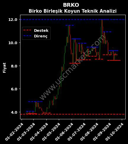 BRKO fiyat-yorum-grafik