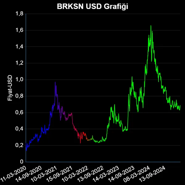 BRKSN Dolar Grafiği