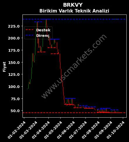 BRKVY fiyat-yorum-grafik