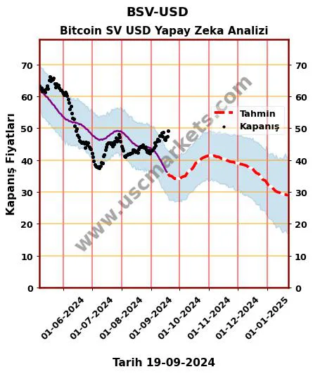 BSV-USD hisse hedef fiyat 2024 Bitcoin SV USD grafik