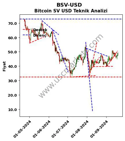 BSV-USD destek direnç Bitcoin SV Dolar teknik analiz grafik BSV-USD fiyatı