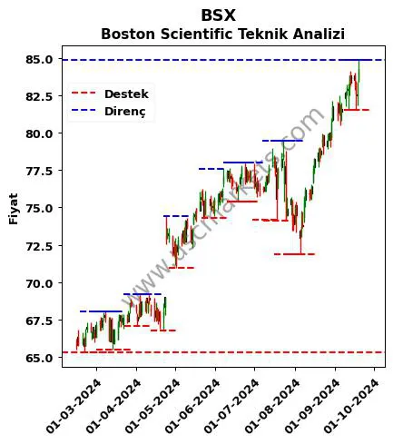 BSX fiyat-yorum-grafik