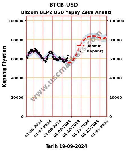 BTCB-USD hisse hedef fiyat 2024 Bitcoin BEP2 USD grafik