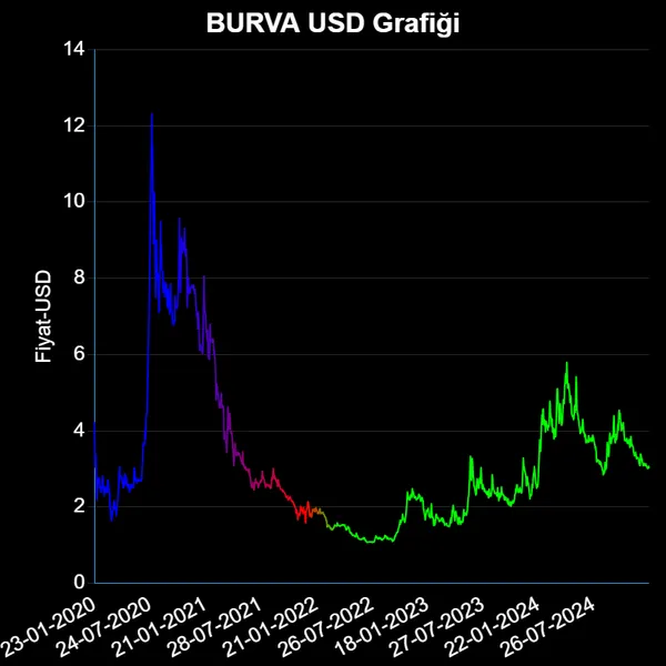 BURVA Dolar Grafiği