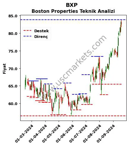 BXP fiyat-yorum-grafik