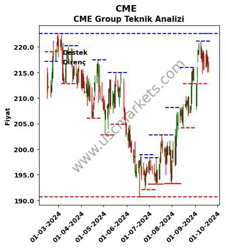 CME fiyat-yorum-grafik