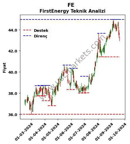 FE fiyat-yorum-grafik