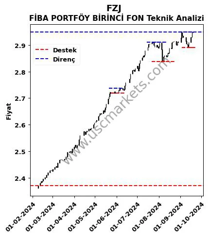 FZJ fiyat-yorum-grafik