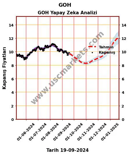 GOH hisse hedef fiyat 2024 GOH grafik