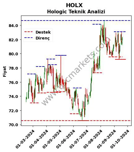 HOLX fiyat-yorum-grafik