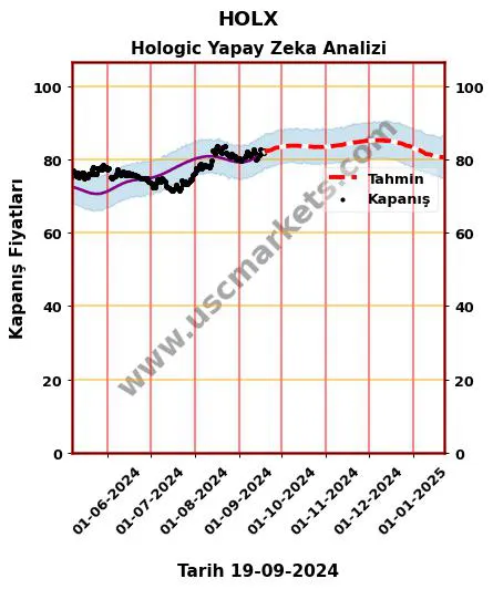 HOLX hisse hedef fiyat 2024 Hologic grafik