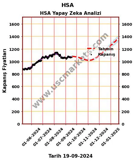 HSA hisse hedef fiyat 2024 HSA grafik