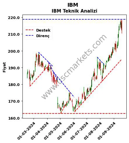 IBM destek direnç IBM teknik analiz grafik IBM fiyatı