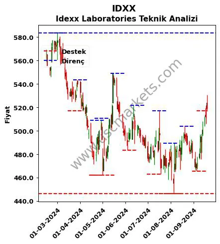 IDXX fiyat-yorum-grafik