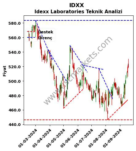 IDXX destek direnç Idexx Laboratories teknik analiz grafik IDXX fiyatı