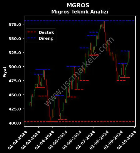 MGROS fiyat-yorum-grafik