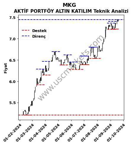 MKG fiyat-yorum-grafik