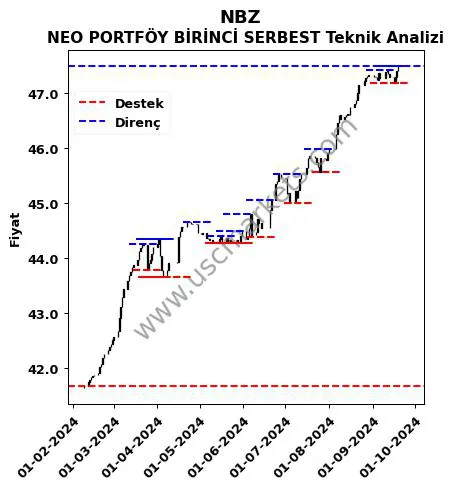 NBZ fiyat-yorum-grafik