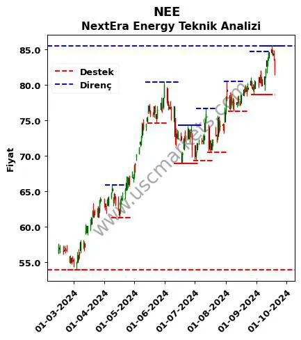 NEE fiyat-yorum-grafik