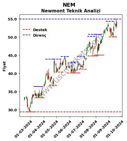 NEM fiyat-yorum-grafik