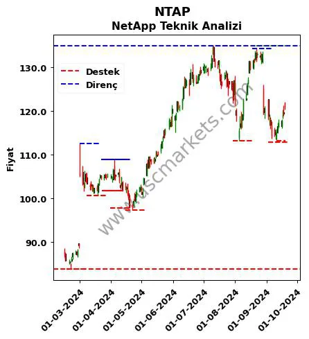 NTAP fiyat-yorum-grafik