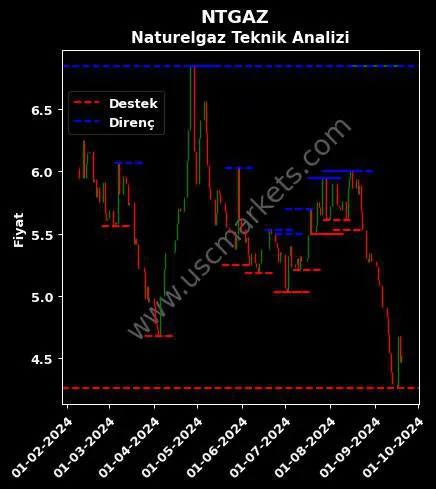 NTGAZ fiyat-yorum-grafik