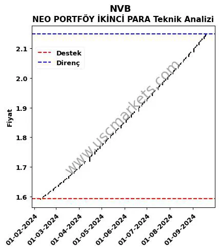 NVB fiyat-yorum-grafik