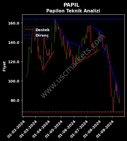 PAPIL destek direnç PAPİLON SAVUNMA TEKNOLOJİ teknik analiz grafik PAPIL fiyatı