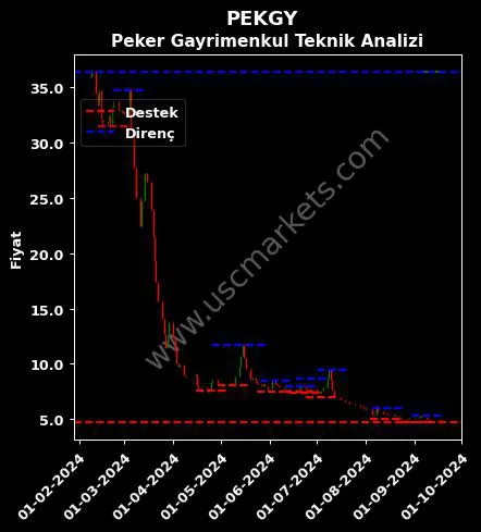 PEKGY fiyat-yorum-grafik