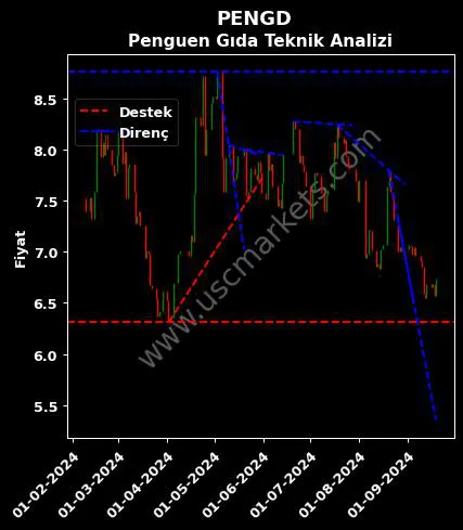 PENGD destek direnç PENGUEN GIDA SANAYİ teknik analiz grafik PENGD fiyatı