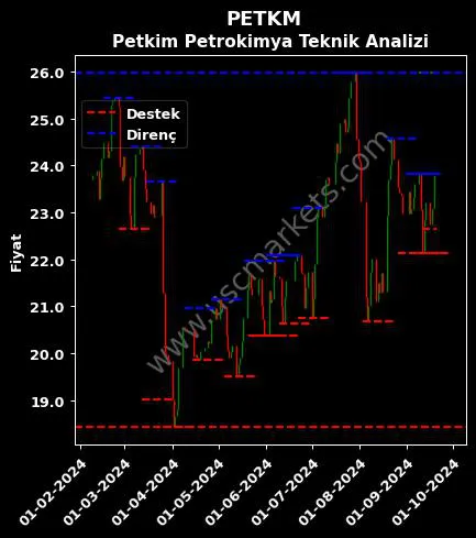 PETKM fiyat-yorum-grafik