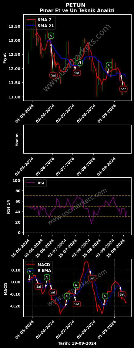 PETUN al veya sat PINAR ENTEGRE ET grafik analizi PETUN fiyatı