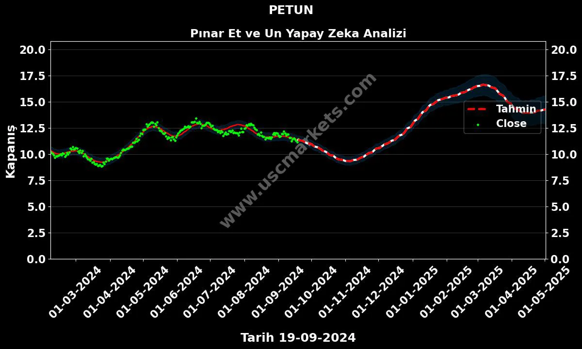 PETUN hisse hedef fiyat 2024 Pınar Et ve Un grafik