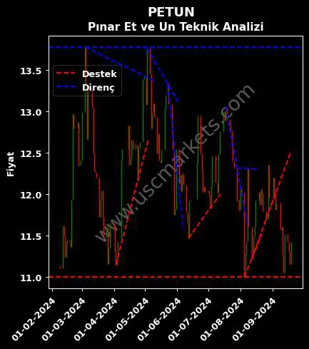 PETUN destek direnç PINAR ENTEGRE ET teknik analiz grafik PETUN fiyatı