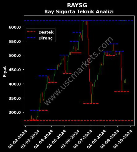 RAYSG fiyat-yorum-grafik