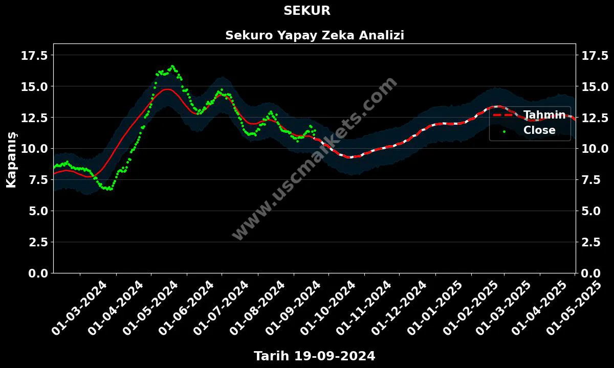 SEKUR hisse hedef fiyat 2024 Sekuro grafik