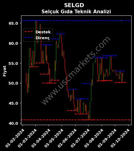 SELGD fiyat-yorum-grafik