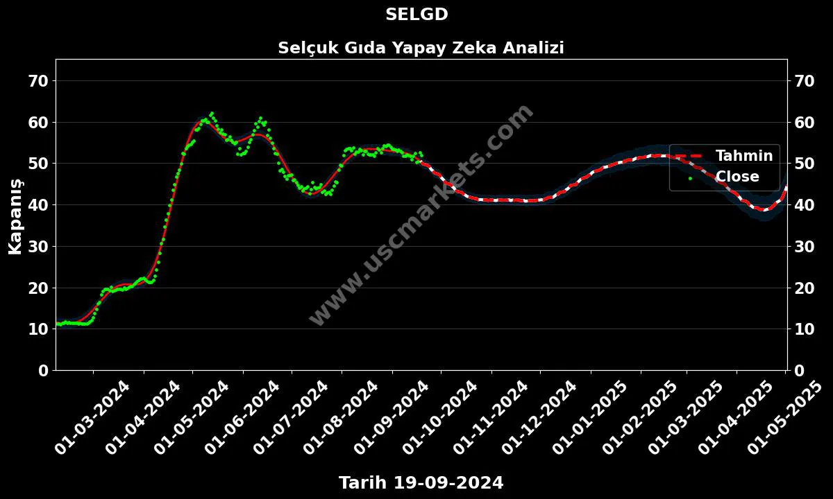 SELGD hisse hedef fiyat 2024 Selçuk Gıda grafik