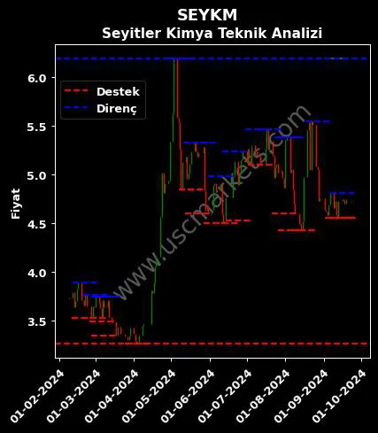 SEYKM fiyat-yorum-grafik